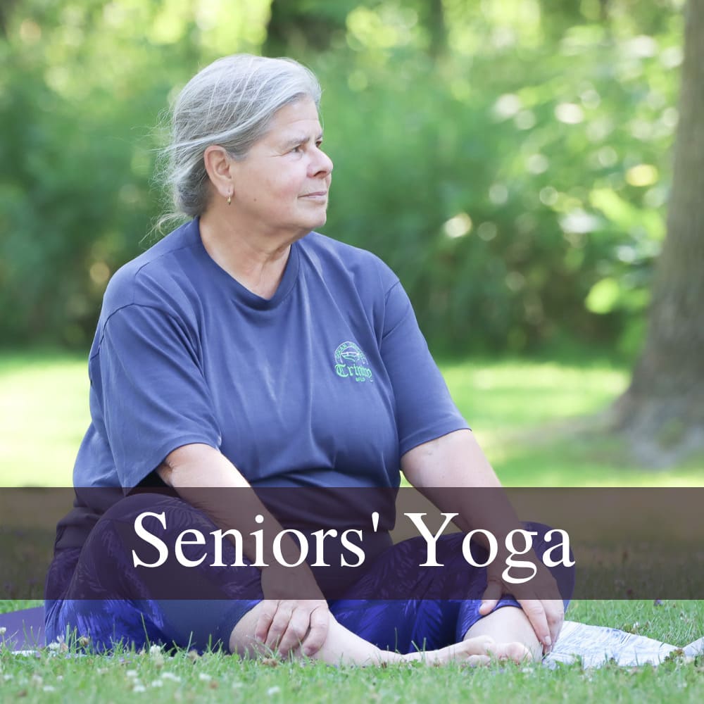 Fantastic Fitness Over 50! 7 Ways for Seniors to Stay Active – Villagio  Senior Living Communities